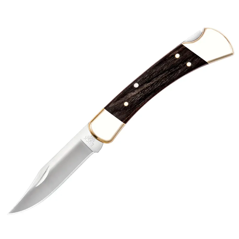 Buck 110 Folding Hunter Knife with Ebony Handle Best Price