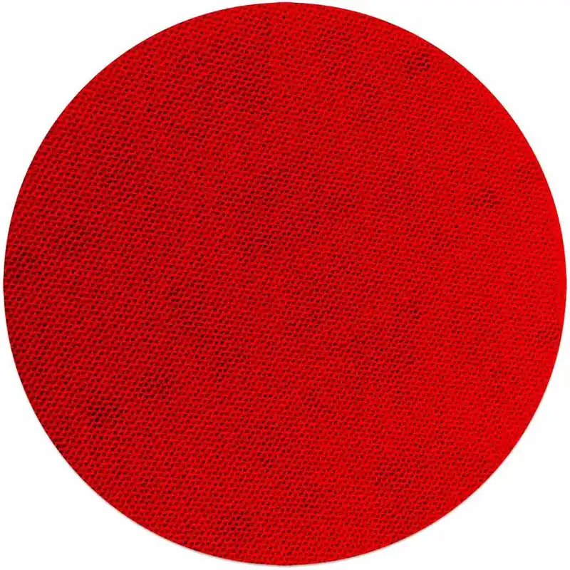Time-Limited Diablo DND050100H40I 5 Inch 100 Grit SandNet Discs with Connection Pad , 40-Pack