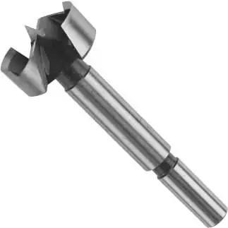 One Day Deal Bosch FB020 1-1/4 In. Forstner Bit